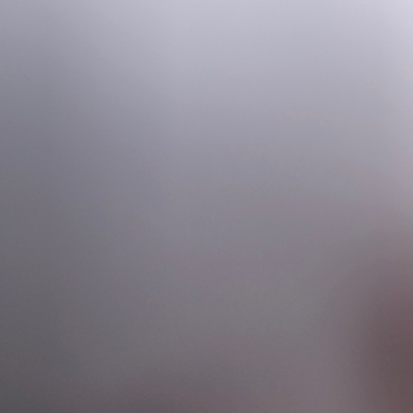 Meet your Posher, Max - Picture 1 of 1